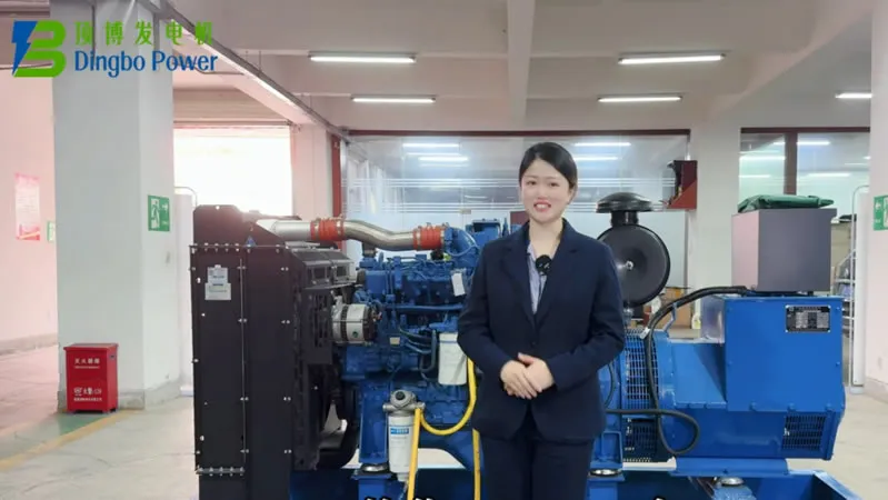 Cách thêm nhiên liệu, dầu và chất làm mát vào máy phát điện diesel 